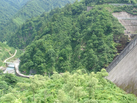 �_������